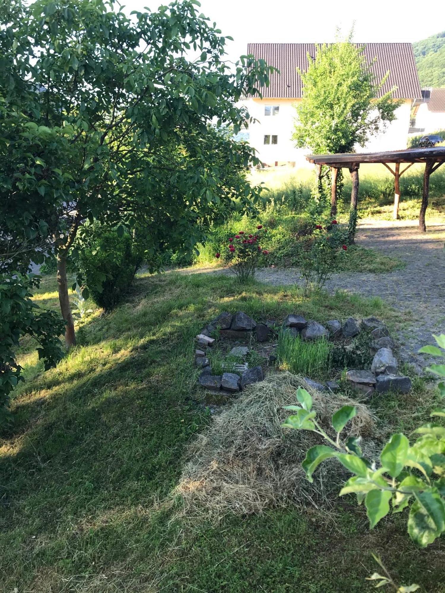 Moselina Ferienwohnungen Sankt Aldegund Kültér fotó
